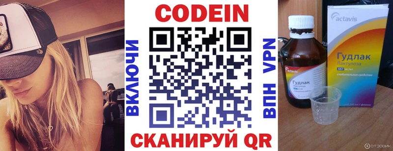 Купить закладки  Петровск-Забайкальский  Кодеиновый сироп Lean Purple Drank 
