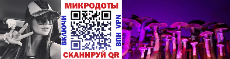 Галлюциногенные грибы мицелий  Купить закладки  Петровск-Забайкальский 